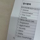 잠실 미래연여성의원 산전 검사비용, 주말 대기시간 결과 후기
