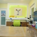 메디펫 동물병원 이미지