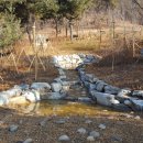 생태연못 이미지