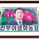 진부2 이미지