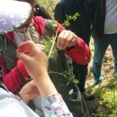 바우농장2 이미지