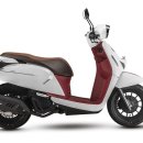 욜로모터스 이미지