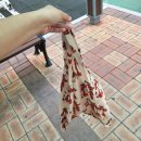 화봉시장앞(26104) | [울산 시장 / 화봉장날] 금요일마다 열리는 울산공항 근처 장터, 먹거리 천국이 따로 없네!