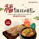 돼지개띠 이미지