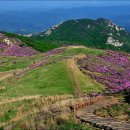 동이리주유소 이미지