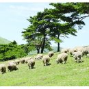 정은목장 이미지