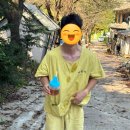 탁영정 이미지