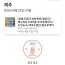 제주 동쪽 감성숙소 보롬코지펜션 월정리해수욕장 오션뷰 202호 후기