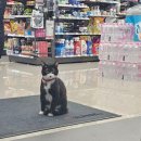 파라다이스 스파 호스텔 이미지