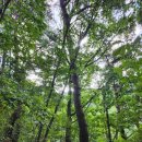 문복로+소호로 이미지