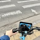 GS25상록수역점 | 명소, 안산•안양 벚꽃 개화시기! (안산호수공원, 안산천, 안산 중앙역 뒷편) + 안양 범계 벚꽃 구경까지!