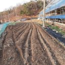 어진농장 이미지