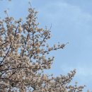 이재유우우우운🩵 이미지