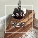 탐라종합어시장 답십리점 | [4주차 일포덤] 생일파티주간 수상한막창 카페 타이파 레터링케이크 소래포구 대하축제 가평 포쉬카라반...