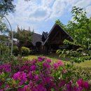 아르보르펜션 이미지