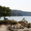 신도메디칼 이미지