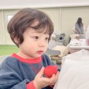 필베베팜