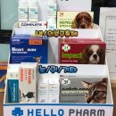 윤진약국 이미지