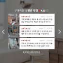 오로라 캣 | 가르르 오로라 캣타워 고양이 캣폴 알루미늄+삼줄기둥 일반세트 냥이들 취향저격