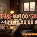 [대구 동성로 방탈출] 방탈출 브이(V) '장미맨숀' 리얼 후기! 방린이 입문용으로 강력 추천