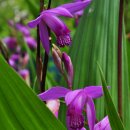 풍경하루 이미지