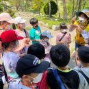 이포초등학교 이미지