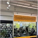 유일퍼스널트레이닝 이미지