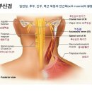 새롬의원 이미지