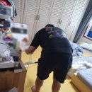 라임동물약품 이미지