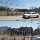 영상농장 Daum카페