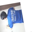 자유머리