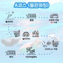 보홀 단독 호핑투어 발리카삭 버진아일랜드 거북이 후기 (원클릭)