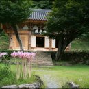 쌍봉사 사적비 이미지