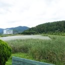 고암체육공원 이미지