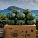 호박창고 - 남구 | [특가]다이어트 식단 미니 단호박 추천 제주 미니밤호박 보우짱 3kg 후기