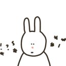 청사포 돼지국밥