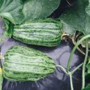 성환농업협동조합 이미지