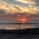 궁평펜션 이미지