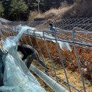 정선군농업기술센터 이미지