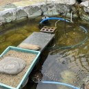 율암온천 이미지