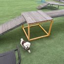 쥬얼리 펜션 | 🏡 페리토 애견펜션 후기 | 반려생활 어플로 예약한 강아지동반 숙소리뷰