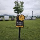 낙동강체육공원 1번주차장 이미지