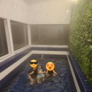 태안 요요키즈풀빌라 캠핑펜션 | 태안 안면도 키즈펜션 추천) 요요키즈풀빌라