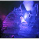 아이스뮤지엄 이미지