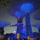 고려슈퍼 | 싱가포르 가든스바이더베이 슈퍼트리쇼 &amp; 스펙트라쇼 후기 (위치, 시간)