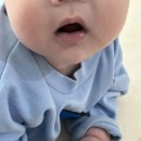 오리의향기 이미지