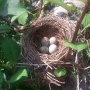 둥지농장 이미지