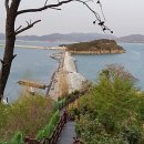 화개공인중개사사무소 이미지