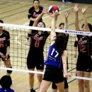 제주생활체육공원 이미지