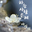 하늘사랑유통